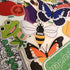 Vego Sticker Kit - Team Grow