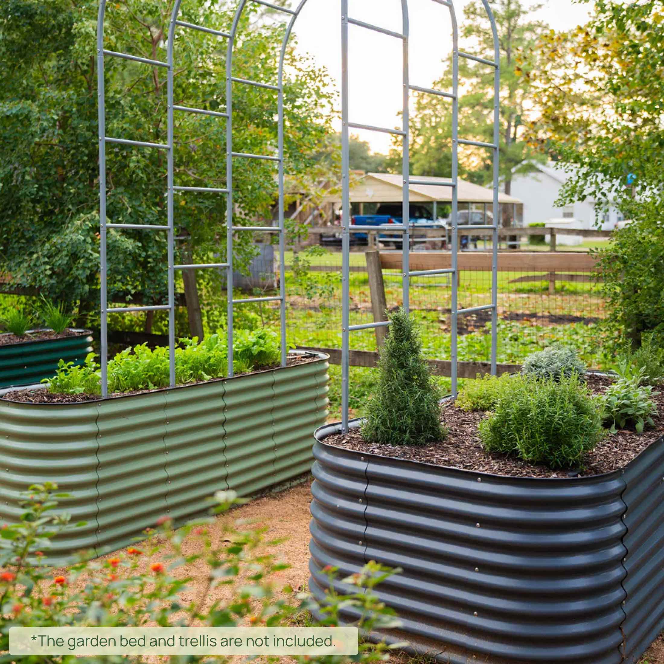 Vego Trellis Anchors - Team Grow