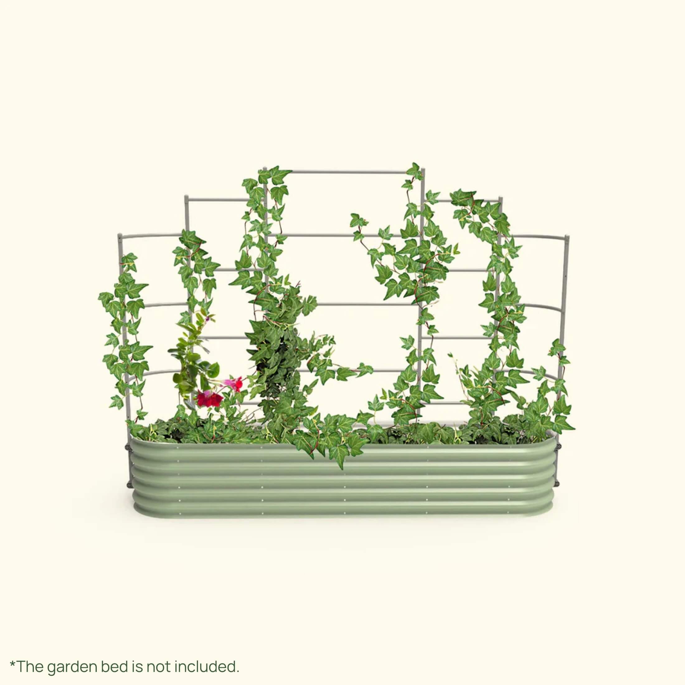 Wall Trellis System - Team Grow