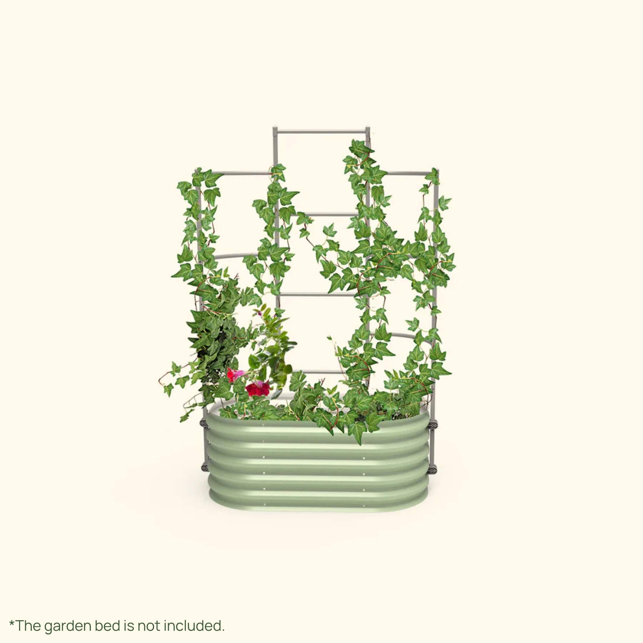 Wall Trellis System - Team Grow