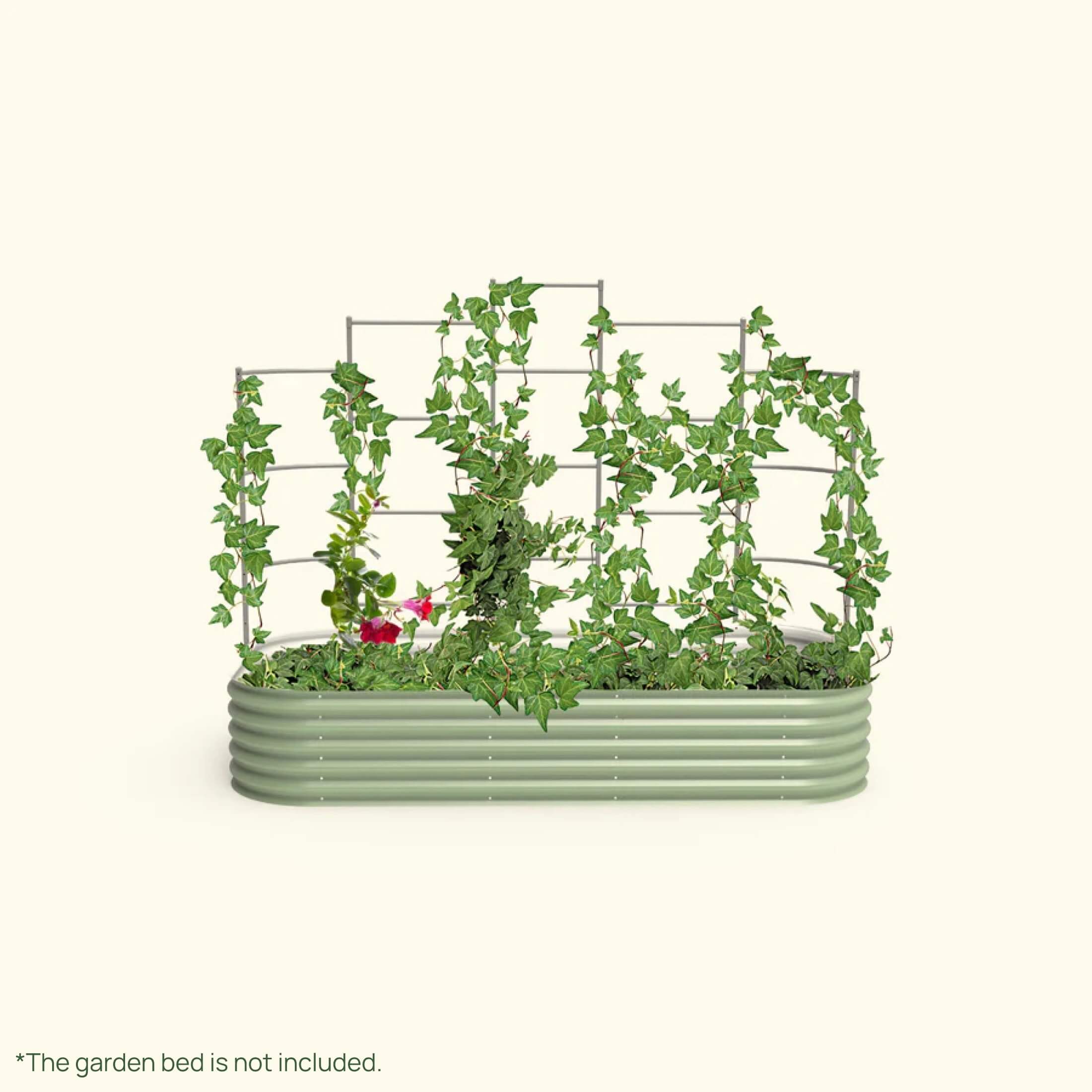 Wall Trellis System - Team Grow