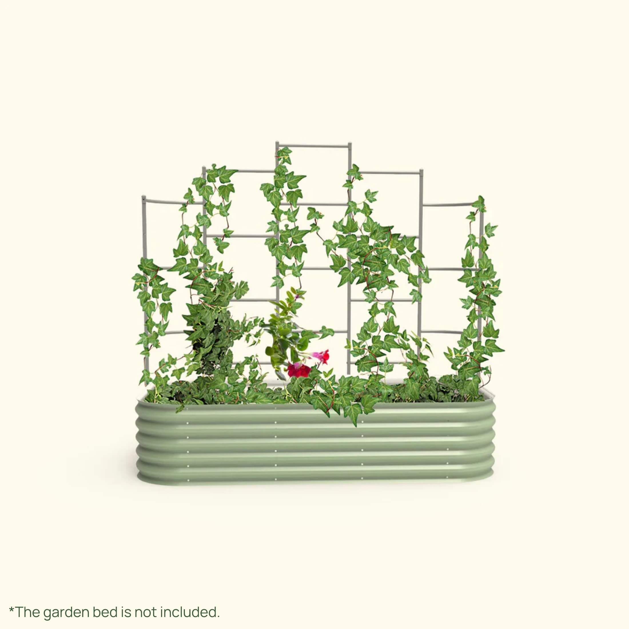 Wall Trellis System - Team Grow