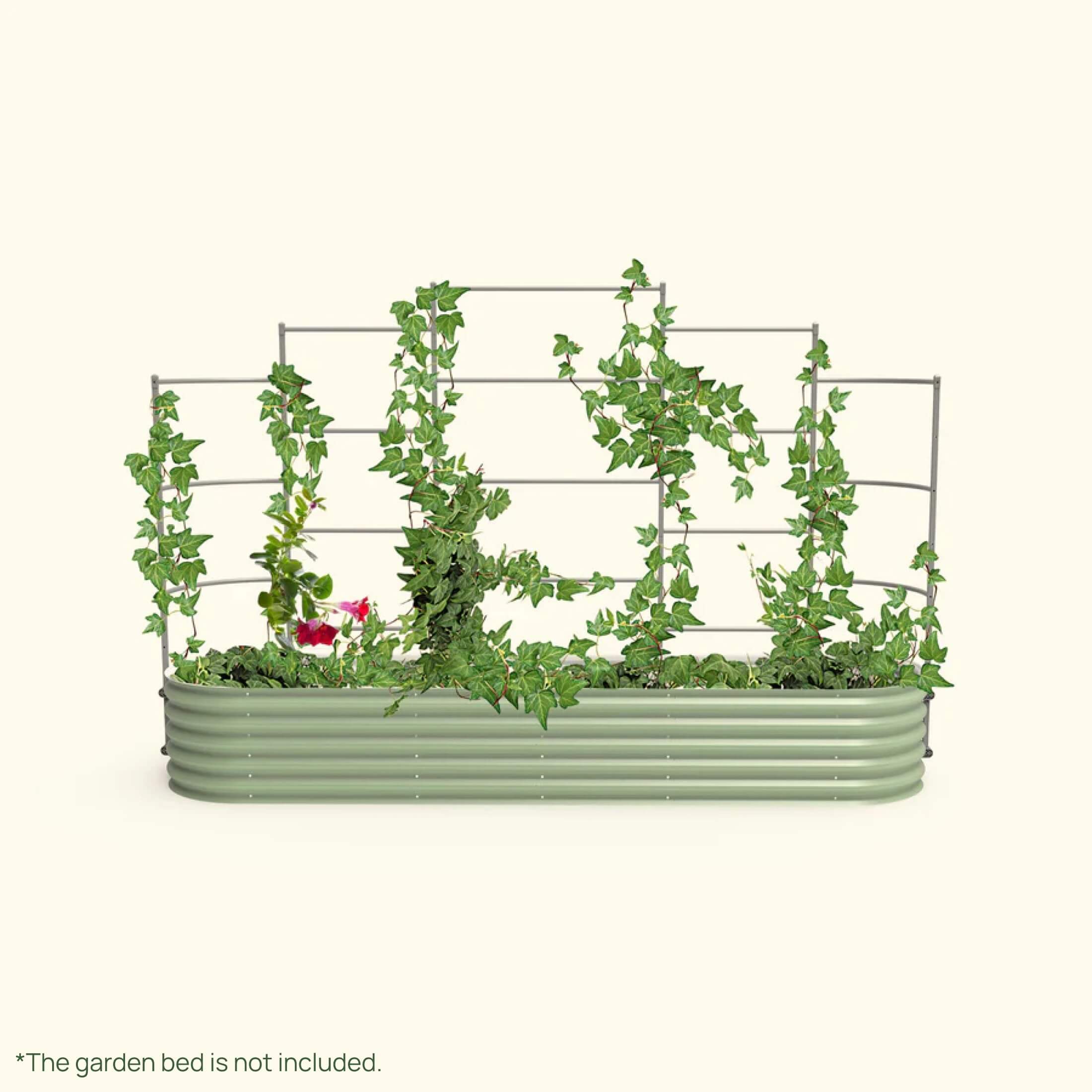 Wall Trellis System - Team Grow