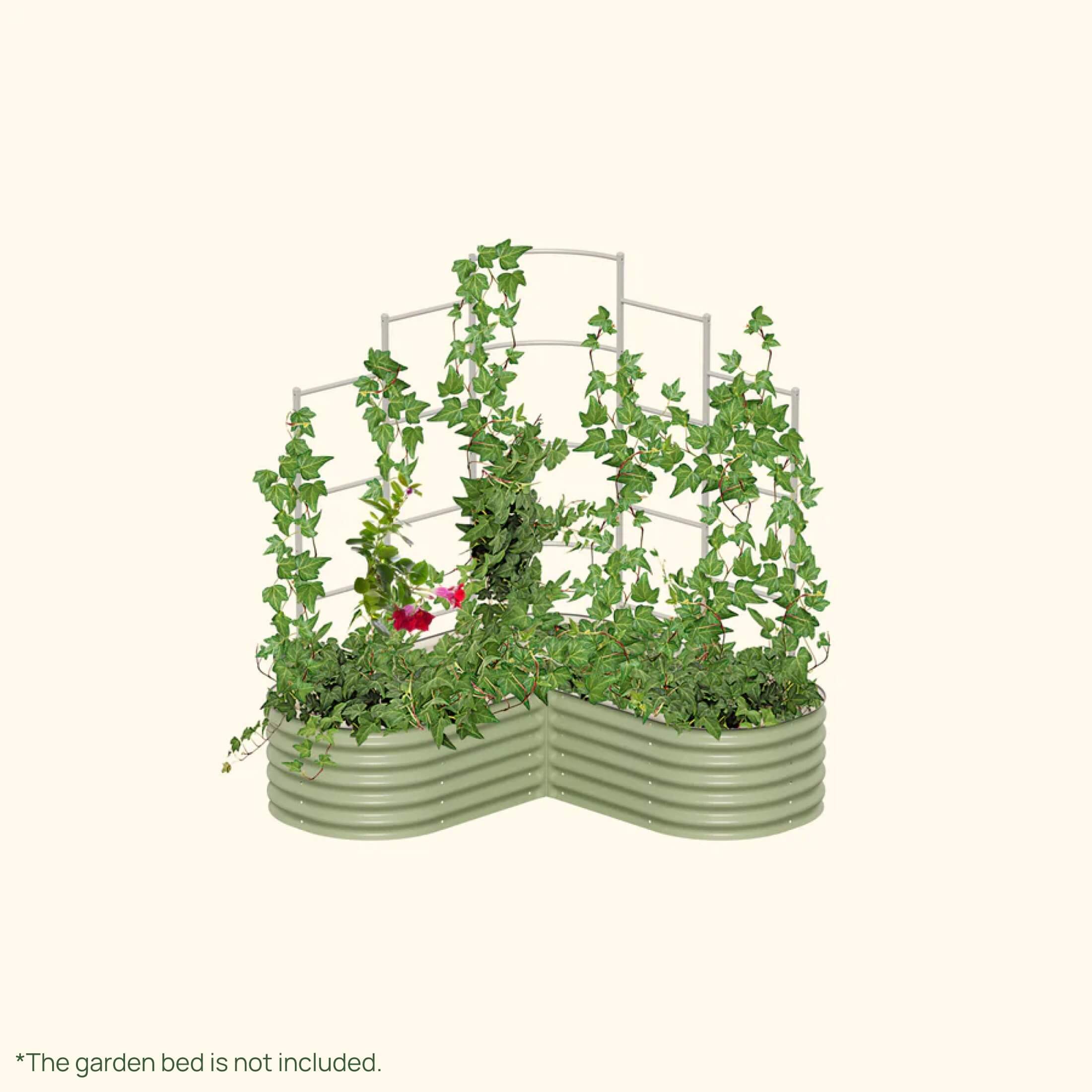 Wall Trellis System - Team Grow