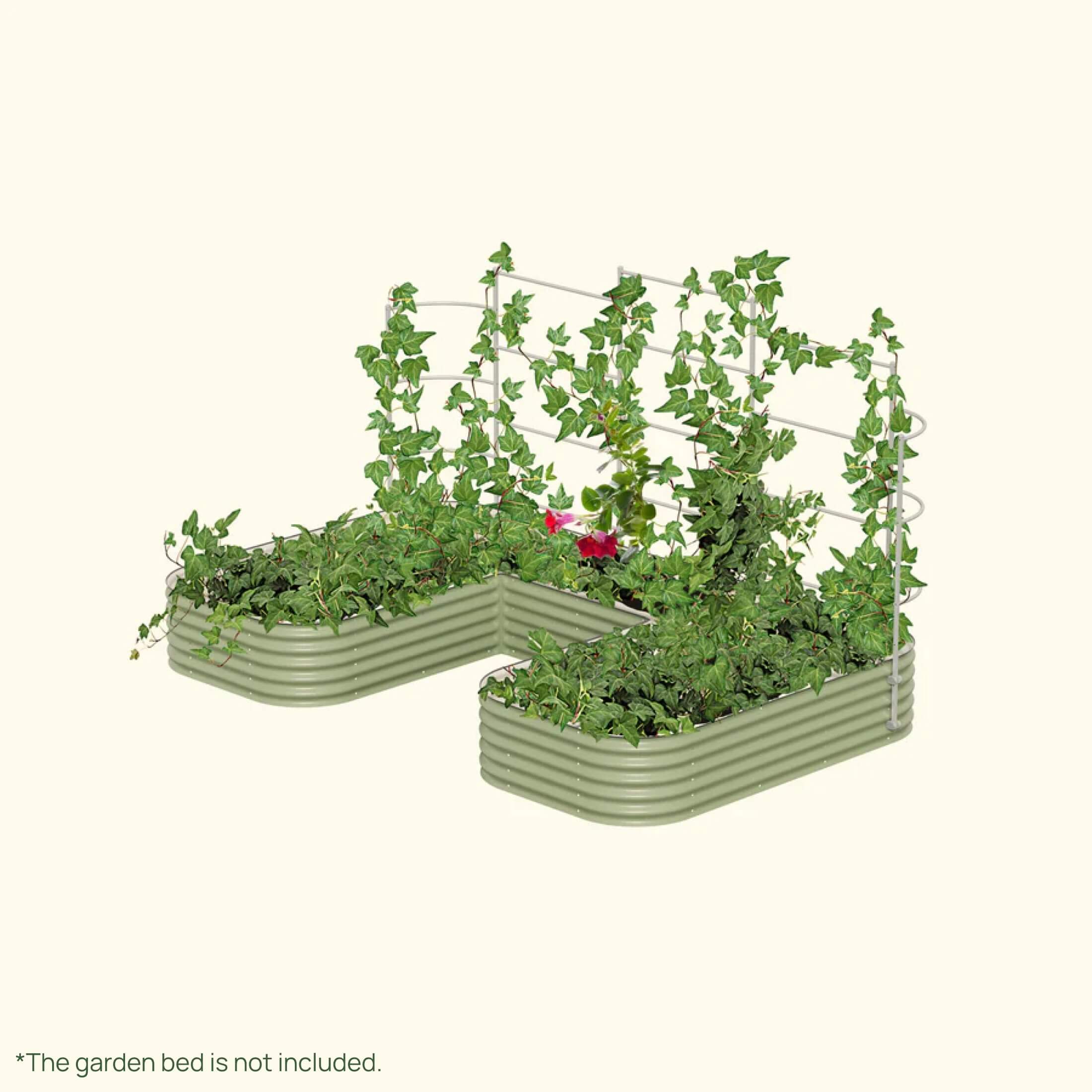 Wall Trellis System - Team Grow