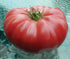 Watermelon Beefsteak Tomato - Team Grow