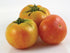 Wherokowhai Tomato (Dwarf Bush) - Team Grow
