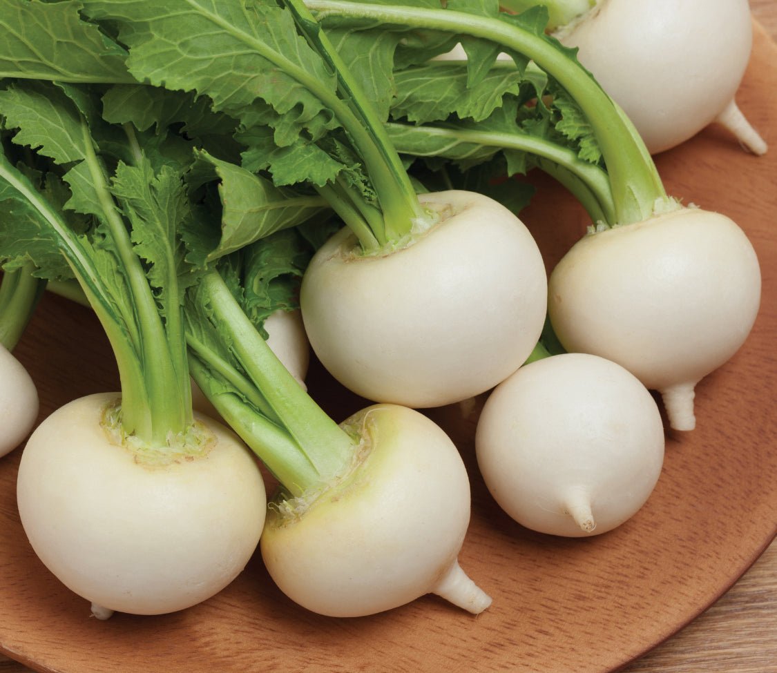 White Egg Turnip - Team Grow