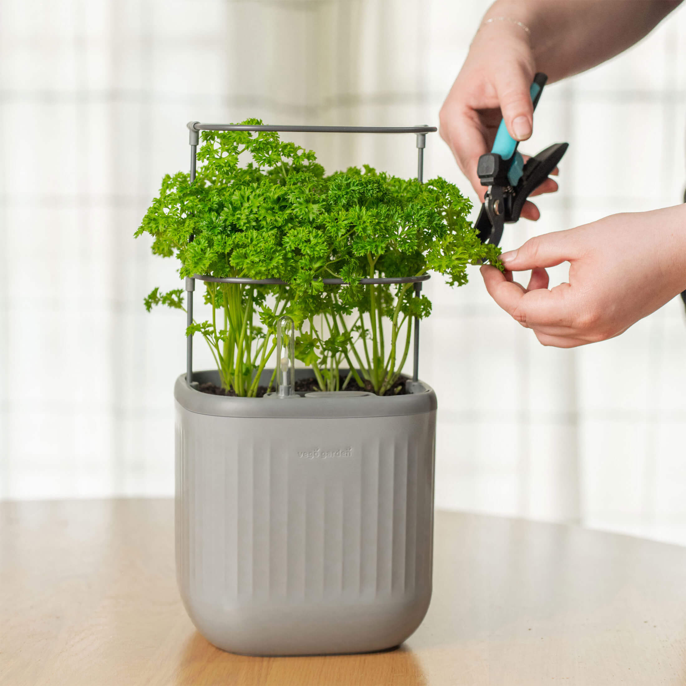 Winter Season Grow Bundle - Team Grow