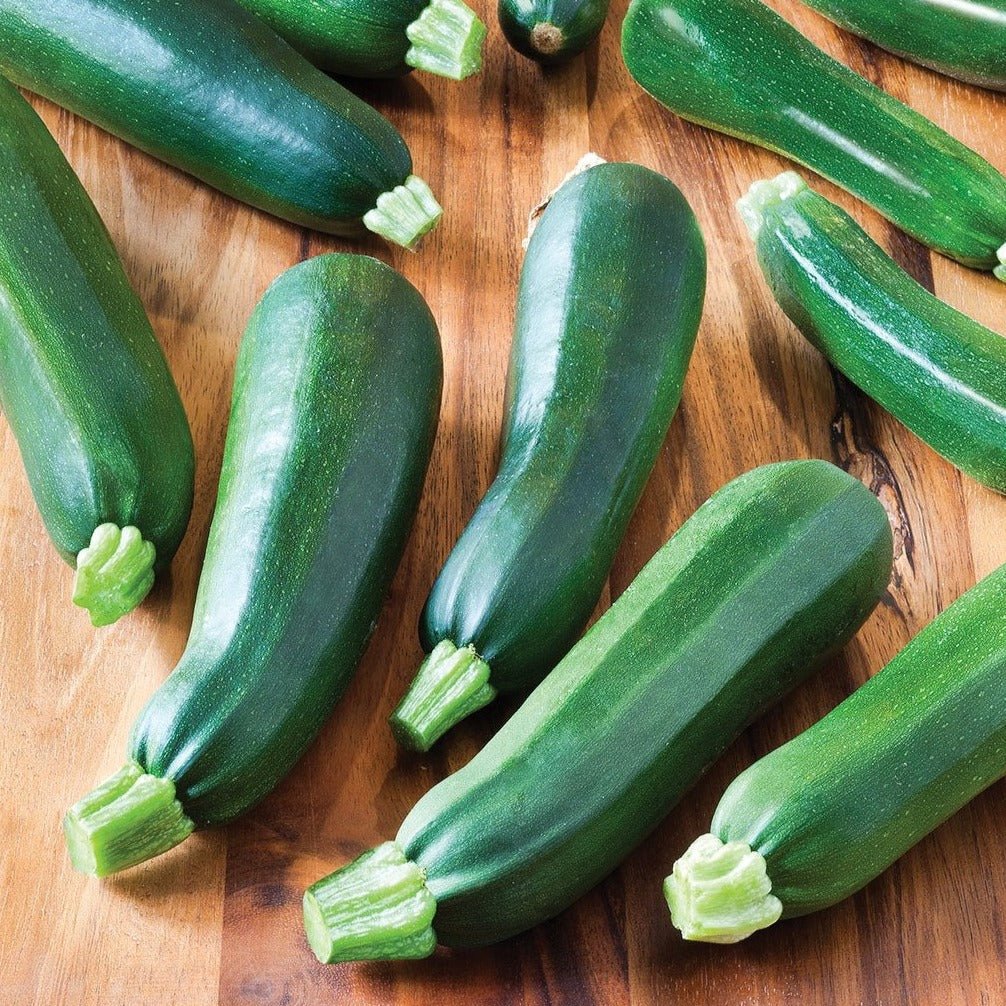 Zucchini Black Beauty - Team Grow